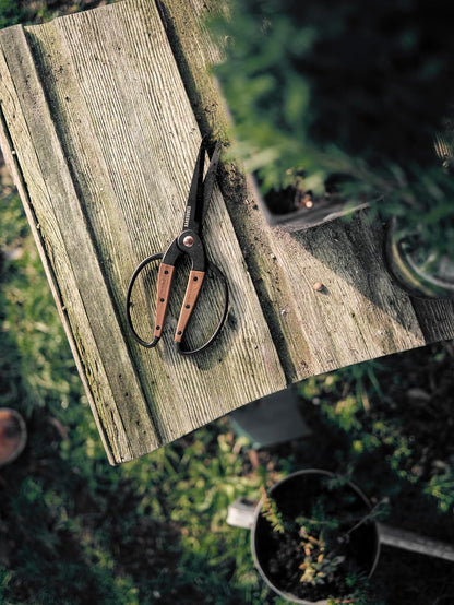 Barebones Garden Scissors - Walnut Scissors - Garden Supplies and Indoor Plant Accessories - Plant