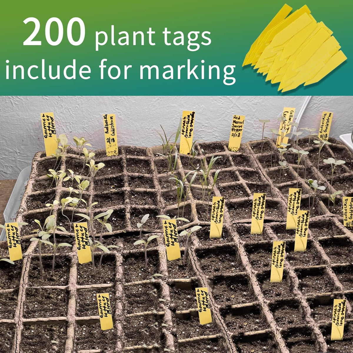 320Cells Seedling Start Trays,20 Pack Peat Pots Seedling Pots Biodegradable,Seedling Starter