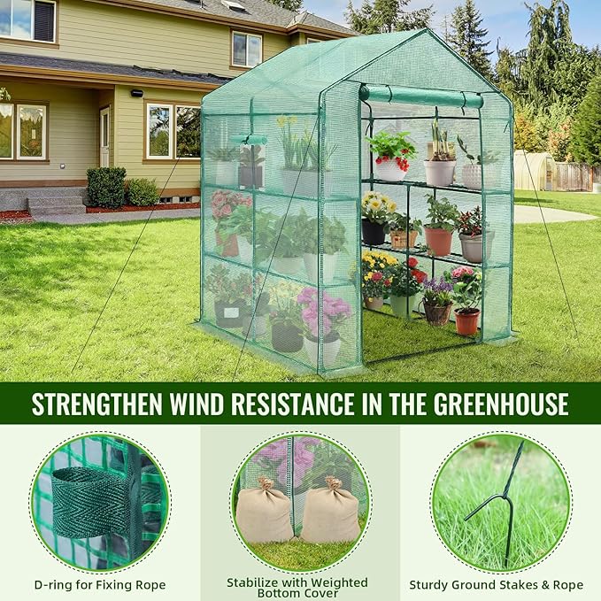 Greengro Greenhouse, 57 x 57 x 76'' Greenhouses for Outdoors, Durable Green House Kit with Window