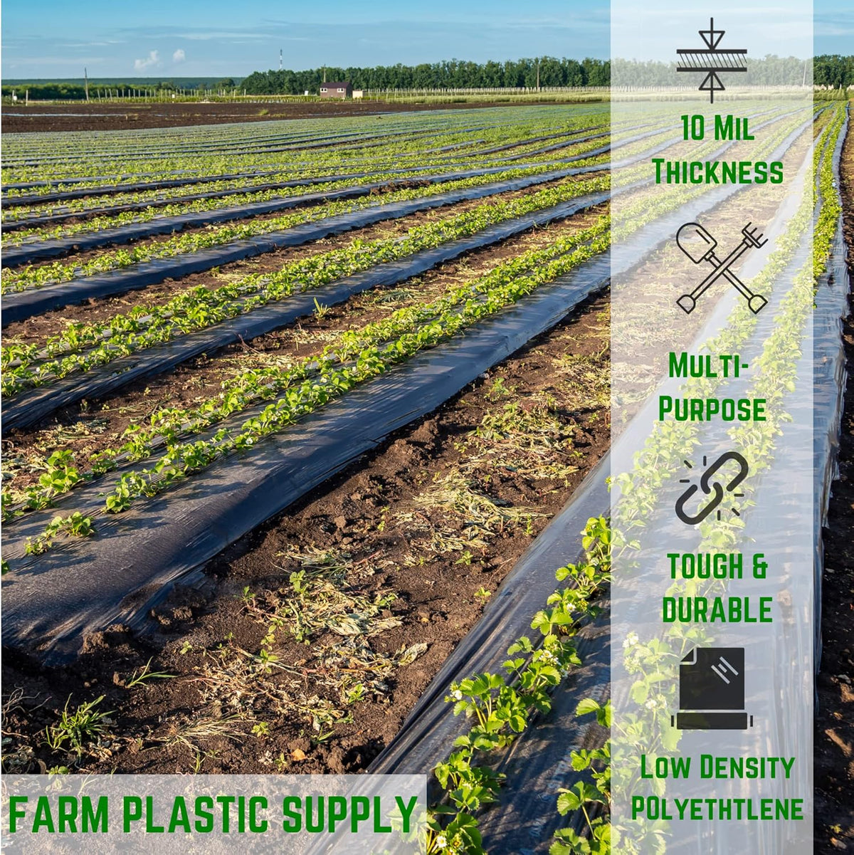 Farm Plastic Supply - Black Plastic Sheeting - 10 mil - (2.5' x 100') - Polyethylene Vapor Barrier