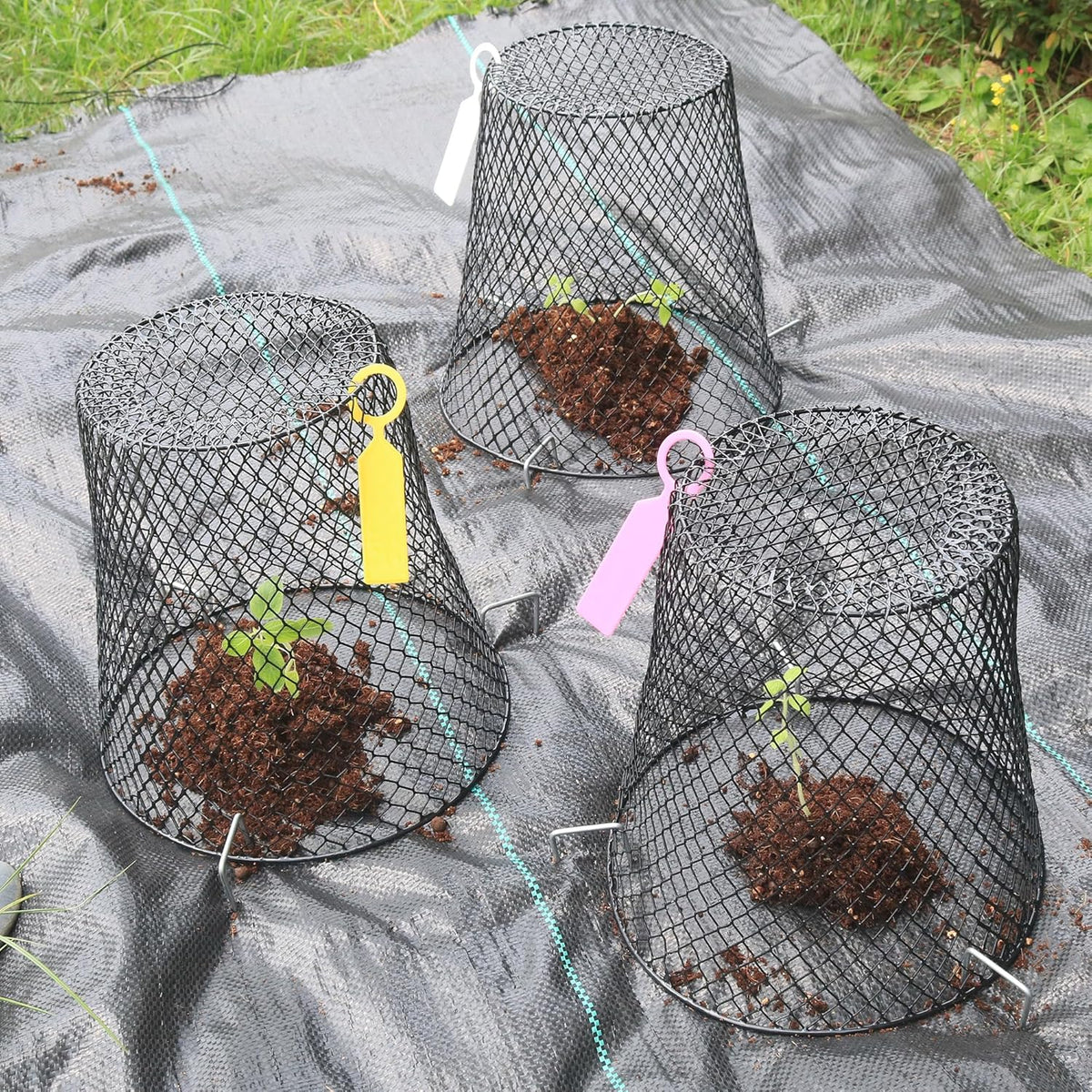 20Pcs Chicken Wire Cloche Plant Covers, 9.2×9.2 Inches Plant Protectors from Animals, Metal Garden
