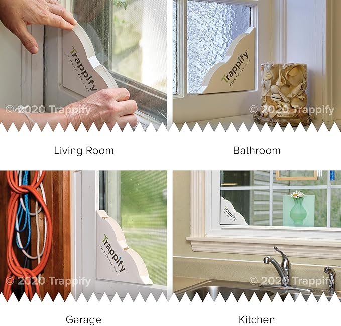 Trappify Fly Trap Indoor: Window Fly Traps for Home | Fruit Fly Traps for Indoors, Gnat Traps for