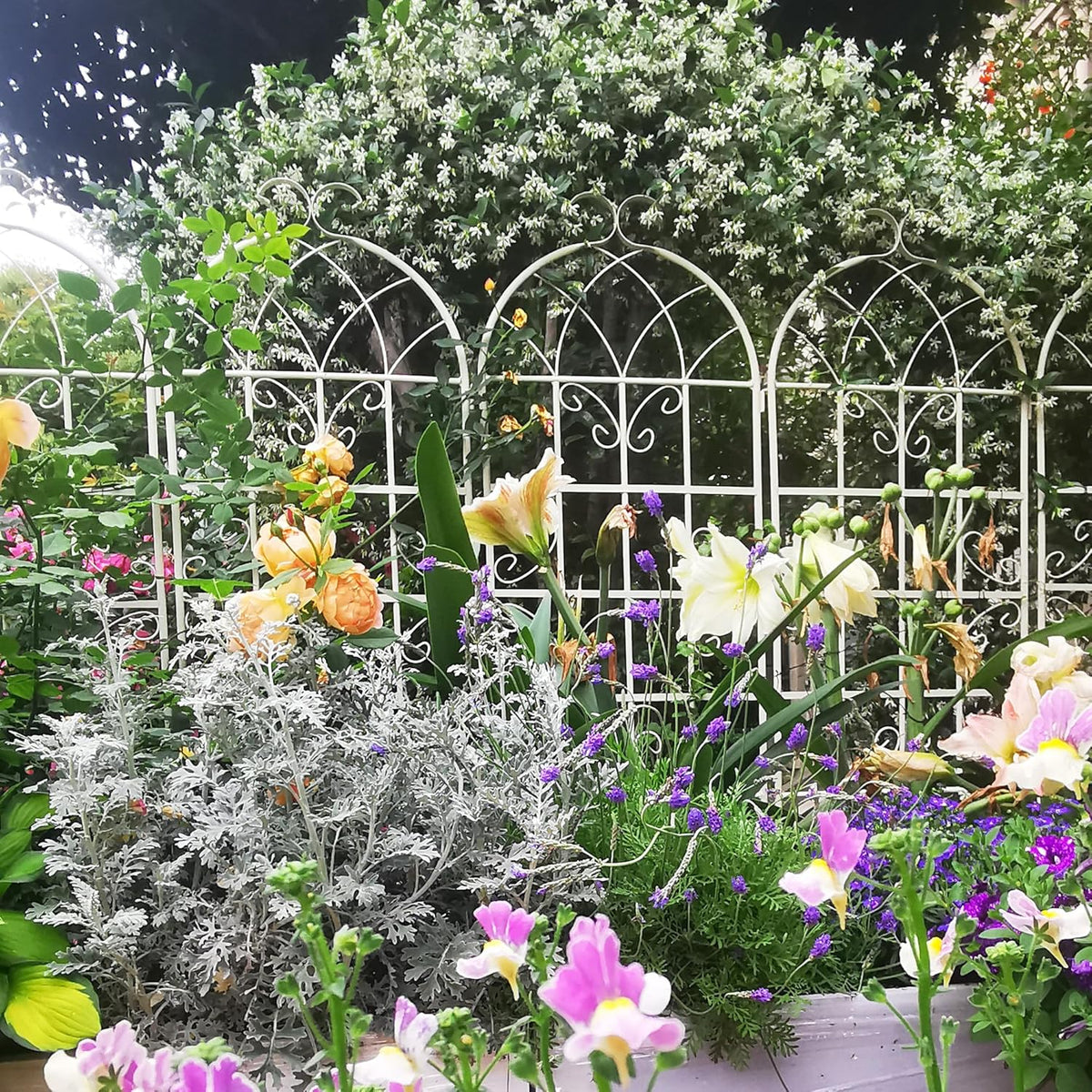 Metal Garden Trellis Rustproof Trellis for Climbing Plants Outdoor Flower Support Butterfly Deco