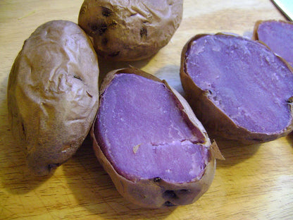 2 Lbs Adirondack Blue Seed Potatoes - USA Non-GMO Certified Potato TUBERS