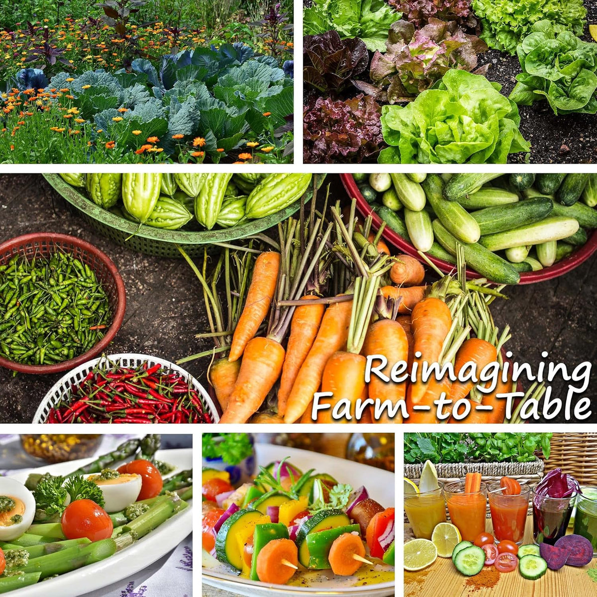 Squash Seeds - Summer - Vegetable Marrow White Bush - 4 Oz ~1000 Seeds - Cucurbita Pepo - Non-GMO