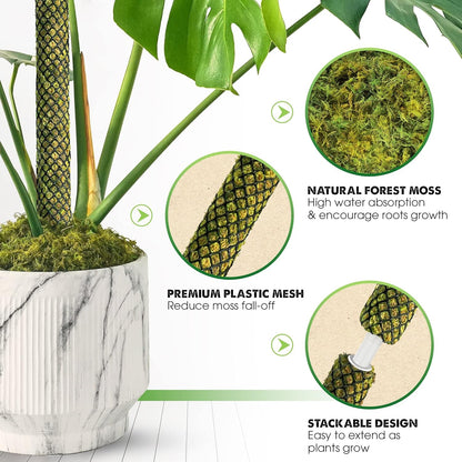 DUSPRO Stackable Mesh Moss Pole for Plants Monstera Potted Plant Stakes for Indoor Plants