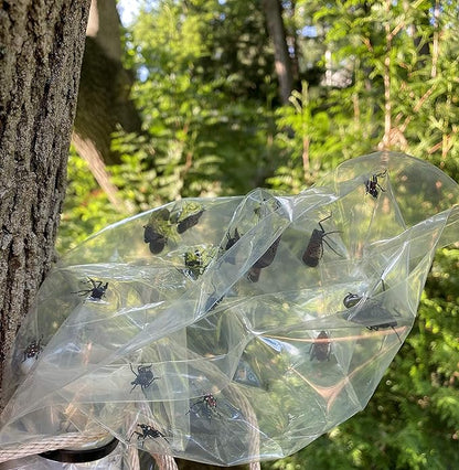 Spotted Lanternfly Tree Trap, Catch Lanternfly Without Catching Other Wildlife, Natural and Non