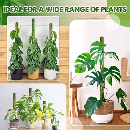 DUSPRO Green Stackable Mesh Moss Pole for Plants Climbing Vine Supporting Monstera Trellis, for