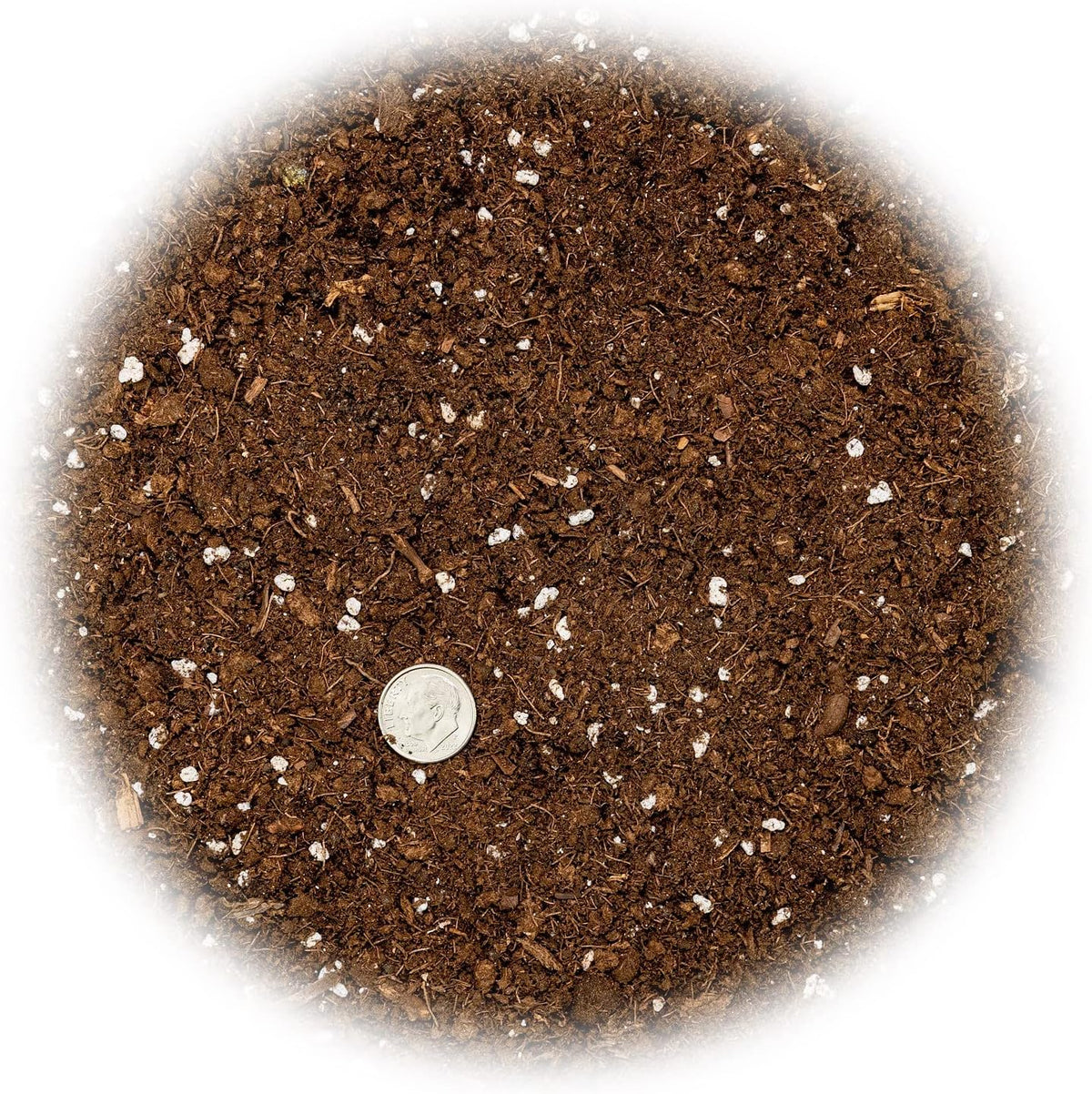 GARDENERA Money Tree Potting Soil - 10 Quart - Soil Mix for Planting or Repotting Guiana Chestnut