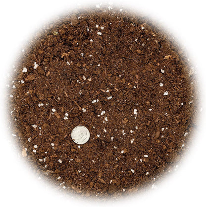 GARDENERA Money Tree Potting Soil Mix for Planting or Repotting Guiana Chestnut, Soil Blended to