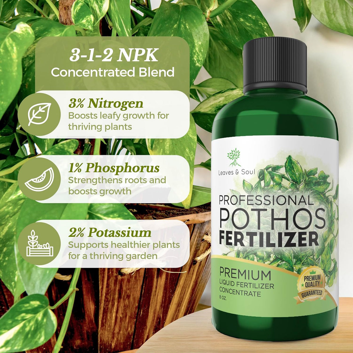 Professional Liquid Pothos Plant Fertilizer | 3-1-2 Concentrate for Epipremnums and Houseplants |