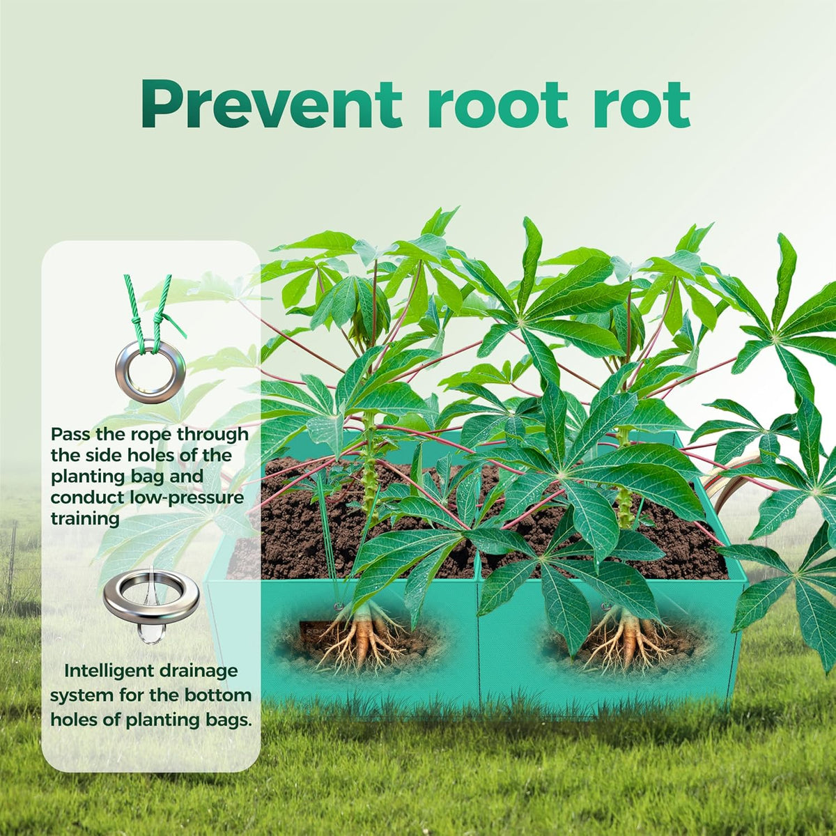 2 Pcs 6 Gallon Rectangle Grow Bags for Growing Potatoes, PE Pots Potato Pots Growing Containers