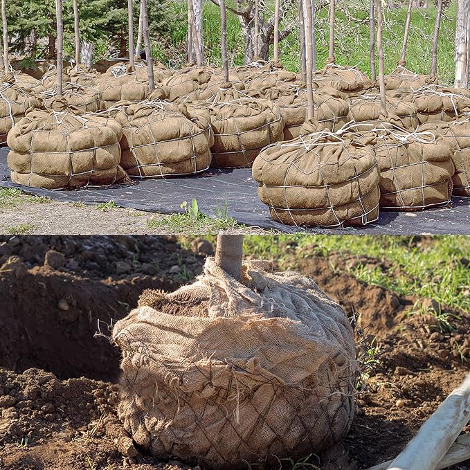 Natural Burlap Plant Covers Freeze Protection,Burlap Winter Frost Plant Blankets for Trees and