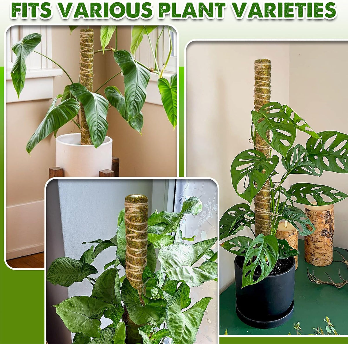 DUSPRO Natural Stackable Moss Pole for Plants Monstera Potted Plant Stakes for Indoor Plants