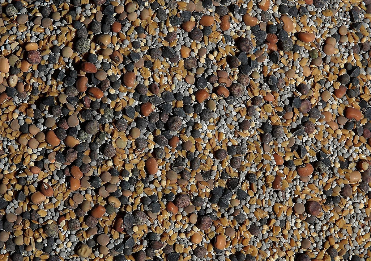 No-Till Cover Crop 13-Seed Mix (½-lb): [50% Clovers Plus Fenugreek, Vetch, Flax, Cowpeas