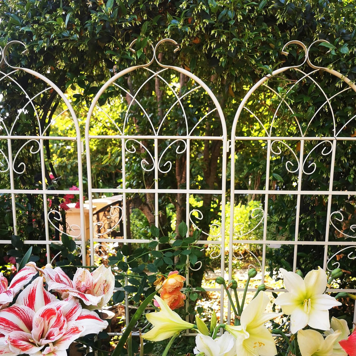 Metal Garden Trellis Rustproof Trellis for Climbing Plants Outdoor Flower Support Butterfly Deco