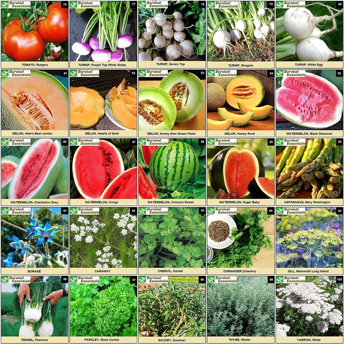 Garden Heirloom Seed Vault, 100 Variety, Over 17,500 Vegetable, Fruit, and Herbs Seeds, Non-GMO