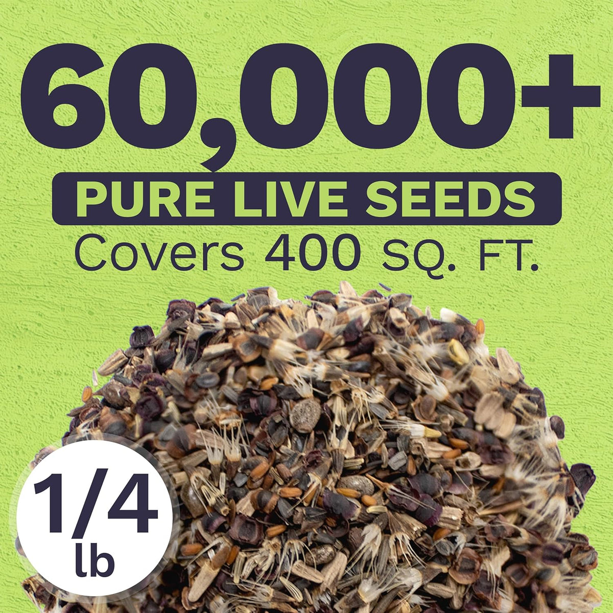Perennial Wildflower Seeds Mixture - Bulk 1/4 Pound Bag - Over 60,000 Pure Live Seed - Open