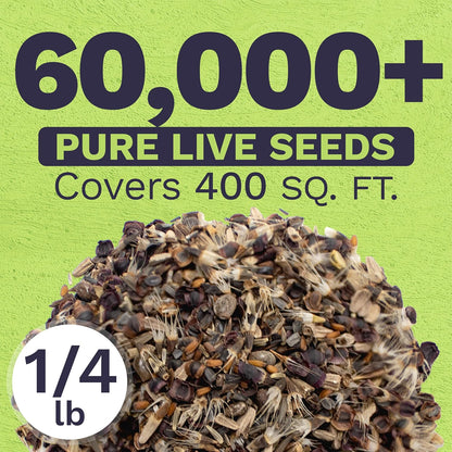 Perennial Wildflower Seeds Mixture - Bulk 1/4 Pound Bag - Over 60,000 Pure Live Seed - Open