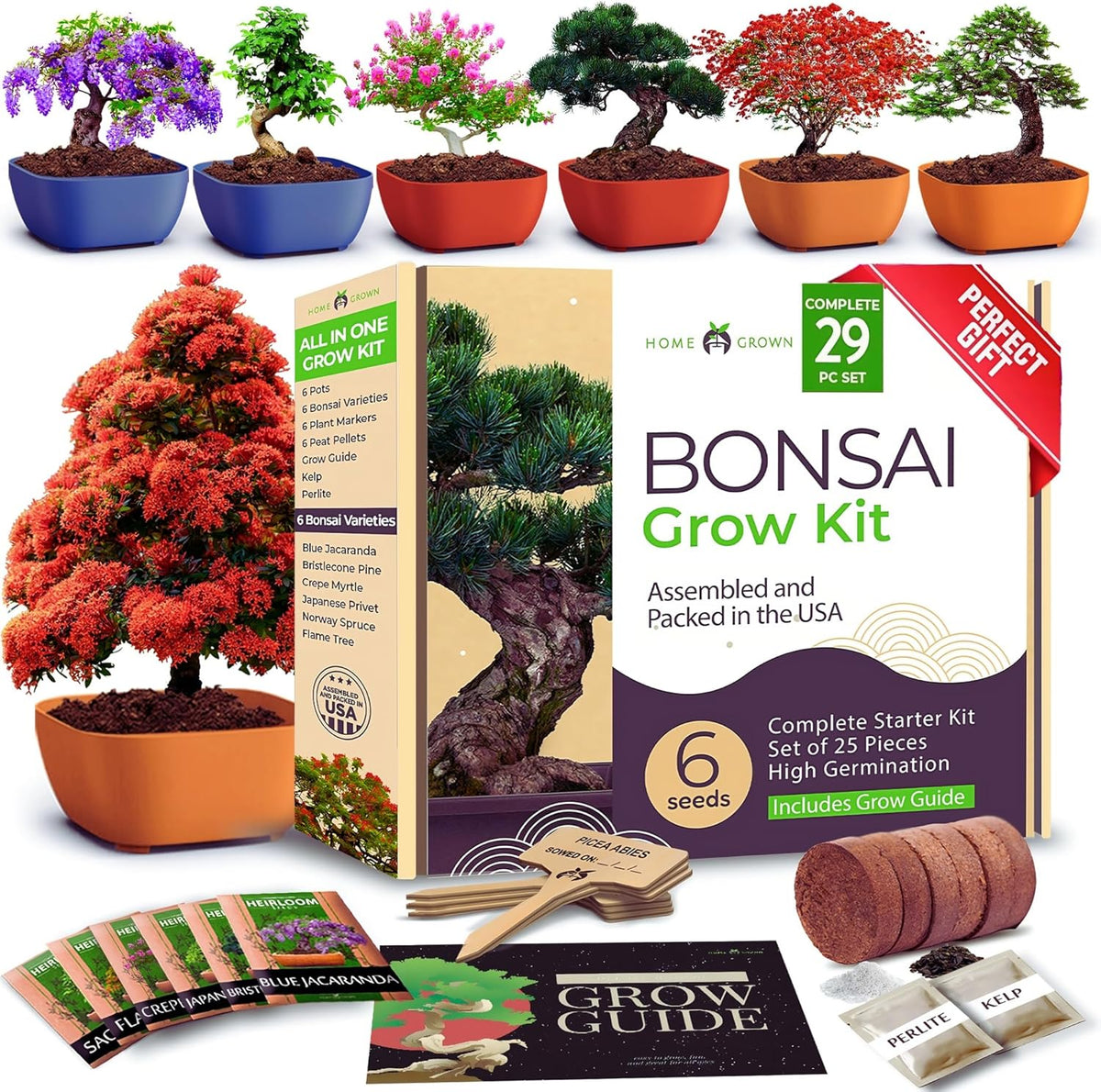 HOME GROWN 𝗨𝗦𝗔 Bonsai Tree Kit – 6 Heirloom Varieties with Unique Pots – DIY Bonsai Starter Kit