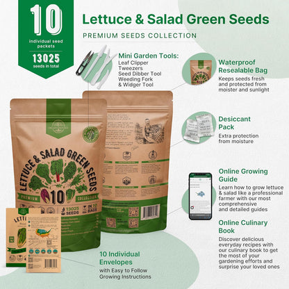 Organo Republic 10 Lettuce & Salad Greens Seeds Variety Pack 13000+ Non-GMO Heirloom Lettuce Seeds