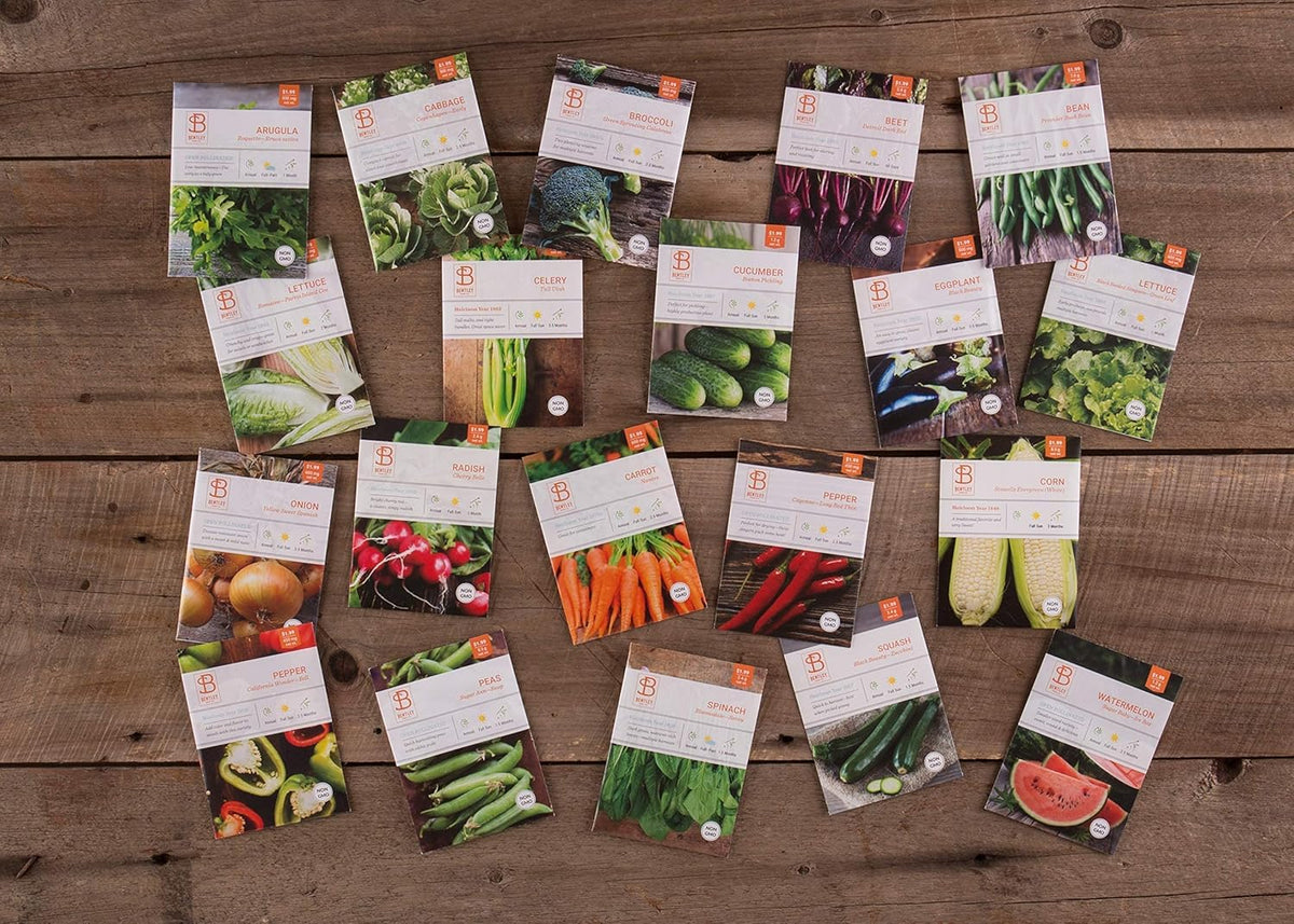 Bentley 20 Pack Garden Seeds for Planting - Non GMO Vegetable Variety Pack for Indoor and Outdoor