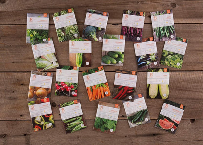 Bentley 20 Pack Garden Seeds for Planting - Non GMO Vegetable Variety Pack for Indoor and Outdoor