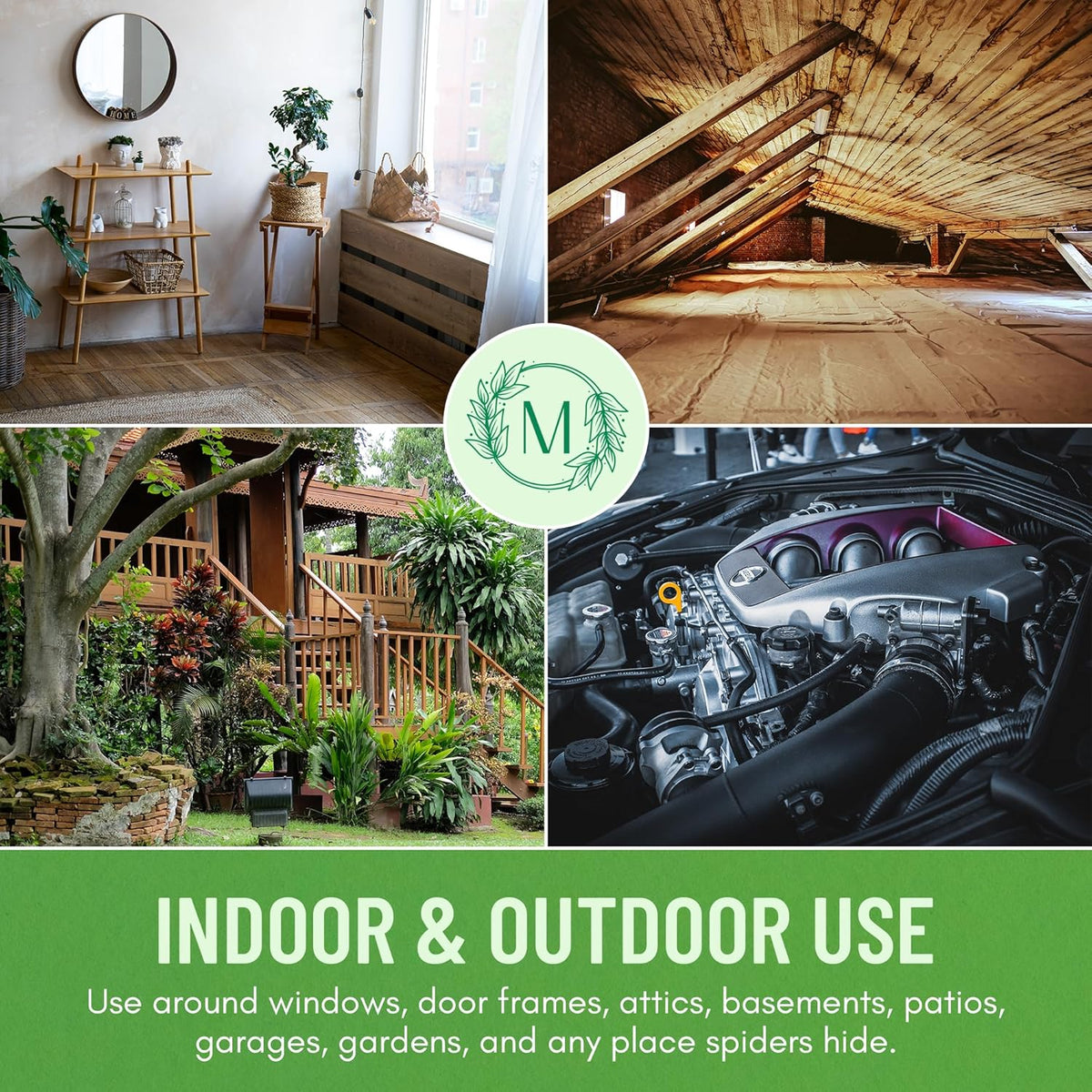 Minty Spider Repellent, Natural 5% Peppermint Oil Spray, Kills & Deters All Types of Spiders and