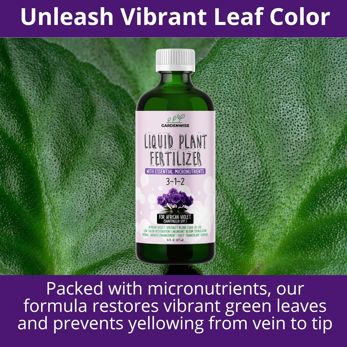 3-1-2 African Violet Fertilizer for Indoor Plants: Liquid Fertilizer with Essential Micronutrients