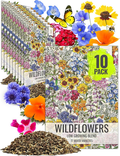 Seed Needs Low Growing Wildflower Flower Seeds for Planting | 10 Packs (1 Ounce Each) Mixture/Blend