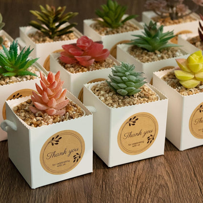 Temlum 2.5 Inch Succulent Wrap Bags (Fits 2.5″ Pots) with Thank You & Let Love Grow Stickers, Small
