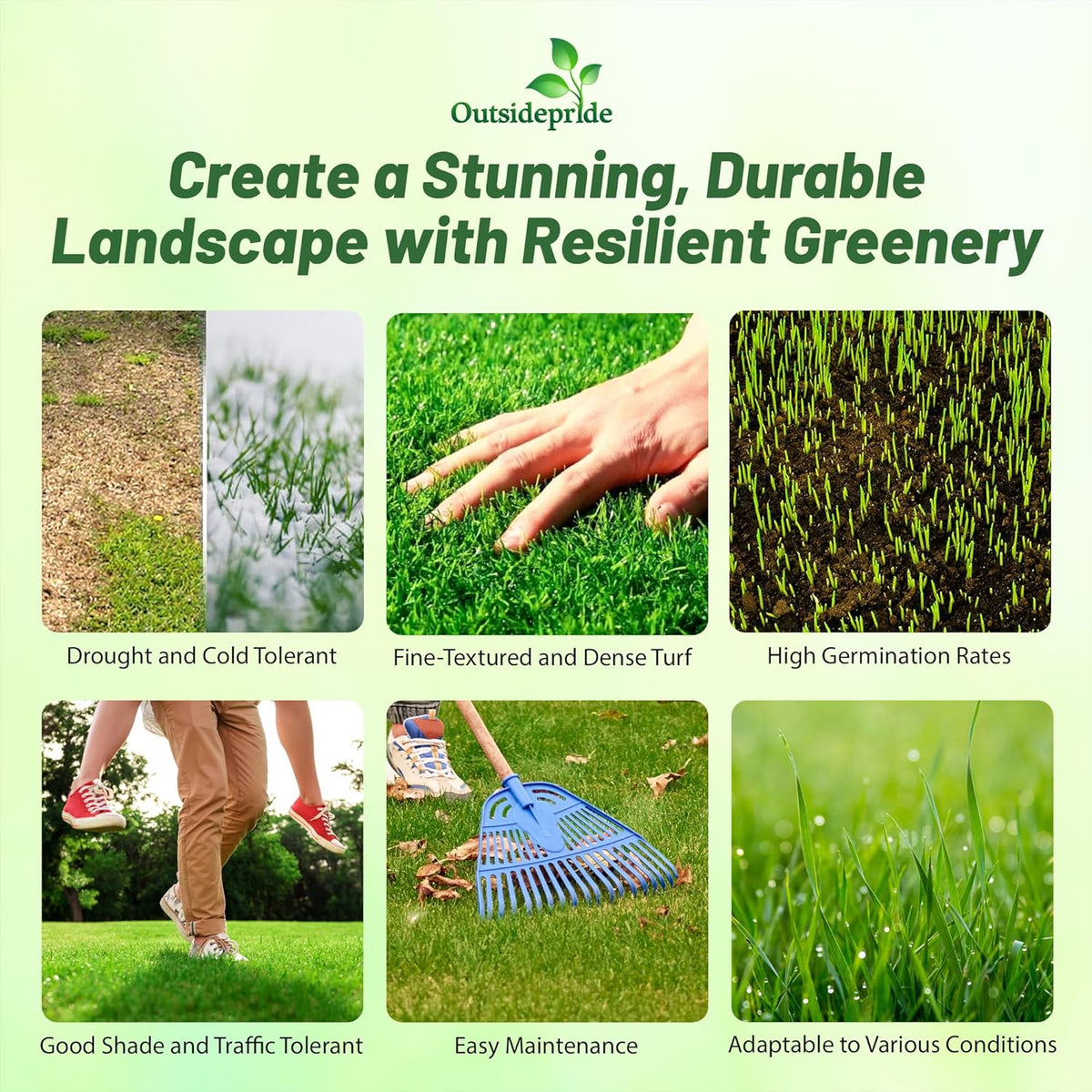 Outsidepride Maya (Blackjack II) Bermuda Grass Seed - 5 lbs Warm Season, Drought Tolerant, Fast