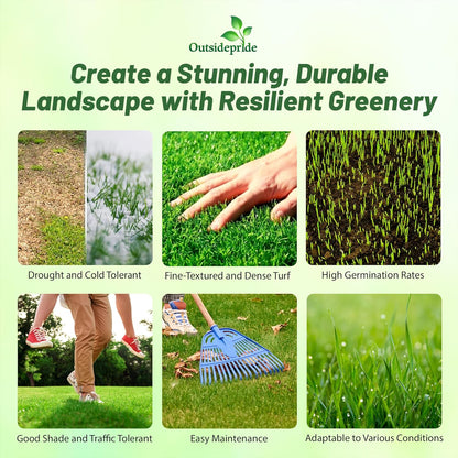 Outsidepride Maya (Blackjack II) Bermuda Grass Seed - 5 lbs Warm Season, Drought Tolerant, Fast