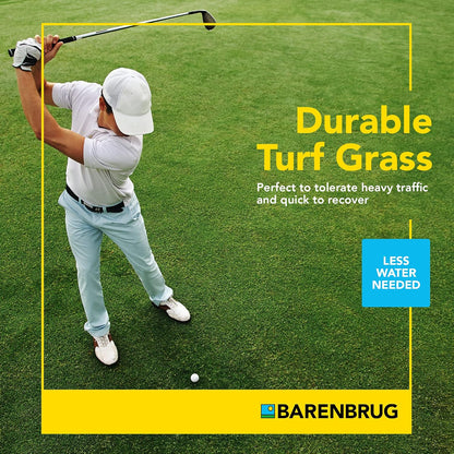 Barenbrug Turf Blue Pro Kentucky Bluegrass Lawn Seed with Yellow Jacket Seed Coating, All-Season