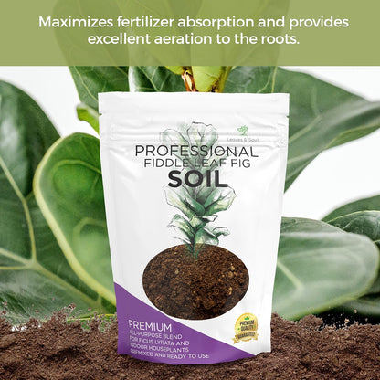 Large Bag Houseplant Fiddle Leaf Fig Soil Premium All Purpose Blend | Ready to Use for Indoor