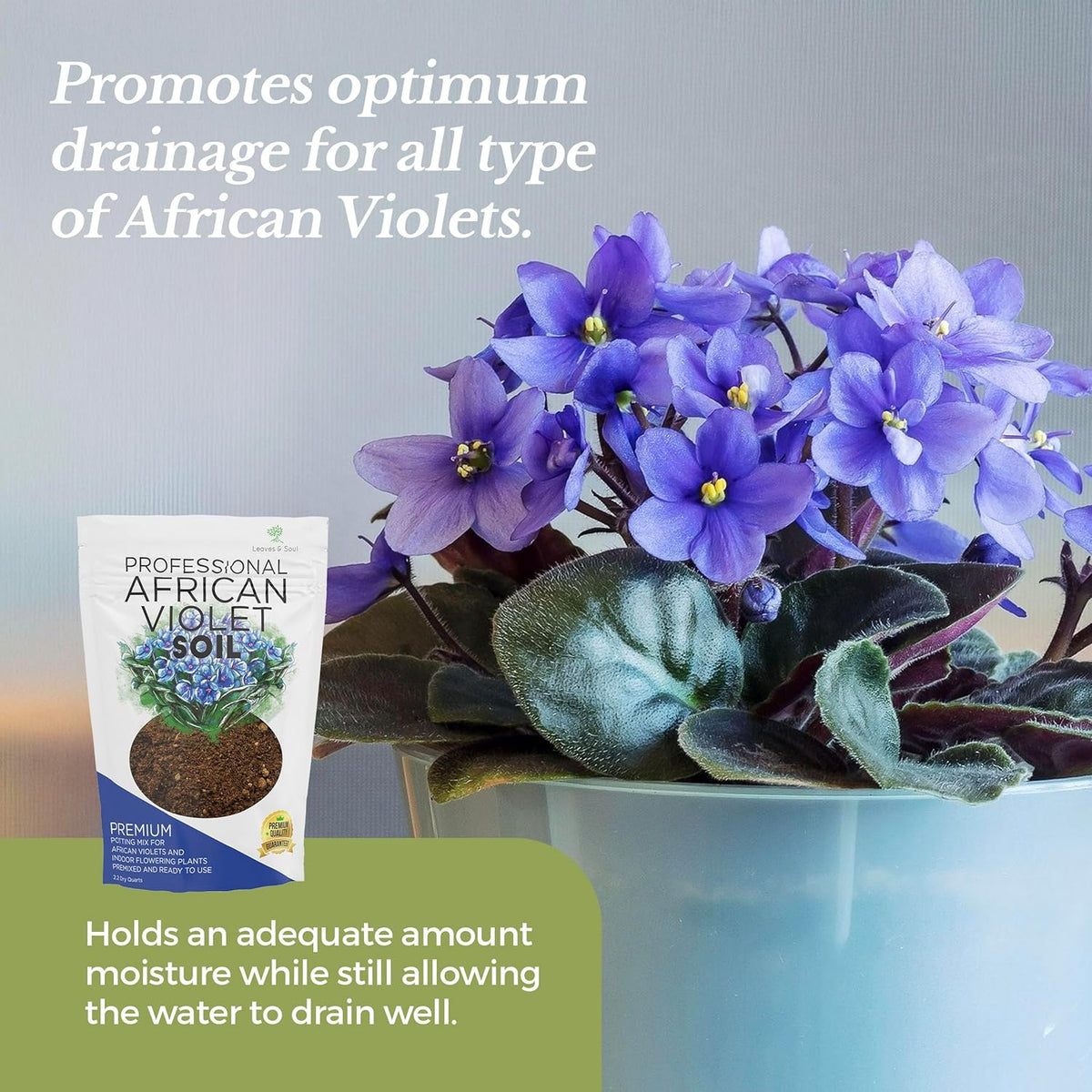 Professional African Violet Plant Soil | Premium All Purpose Blend | Large 2.2 Quarts | Ready to