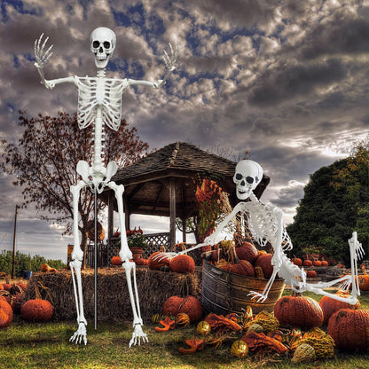 7.9ft/240cm Giant Skeleton Halloween Skeleton Life Size Skeleton Posable Skeleton Full Body