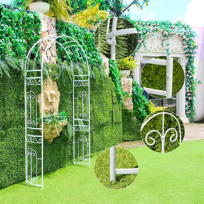 White Wedding Arch Garden Arbor Curved Metal Archway with Elegant Curve for Climbing Plants Roses