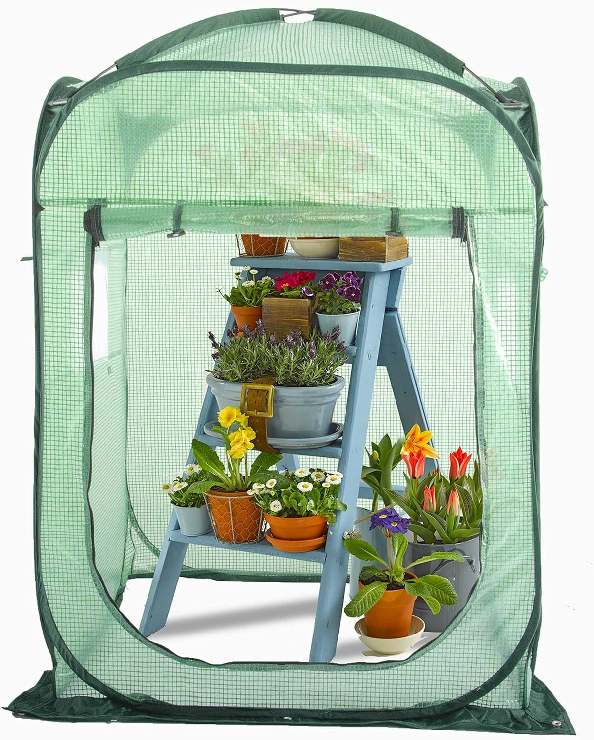 Porayhut Pop Up Greenhouse Tent,Portable X-Large Walk-in Flower House ,Indoor Outdoor Gardening