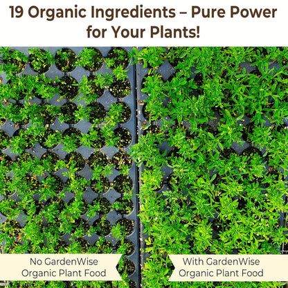 Organic Liquid Plant Food for Indoor Houseplants – All Purpose Fertilizer for Potted Plants