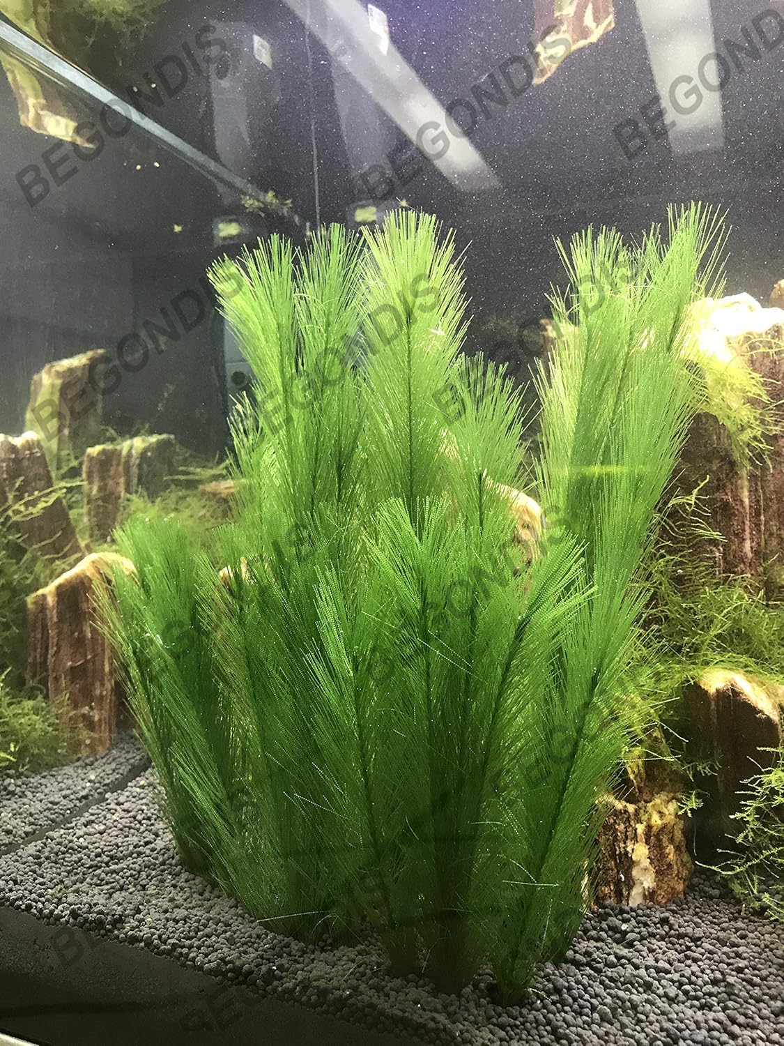 BEGONDIS Aquarium Decorations 3Pcs Fish Tank Artificial Green Water Plants Made of Silk Fabrics