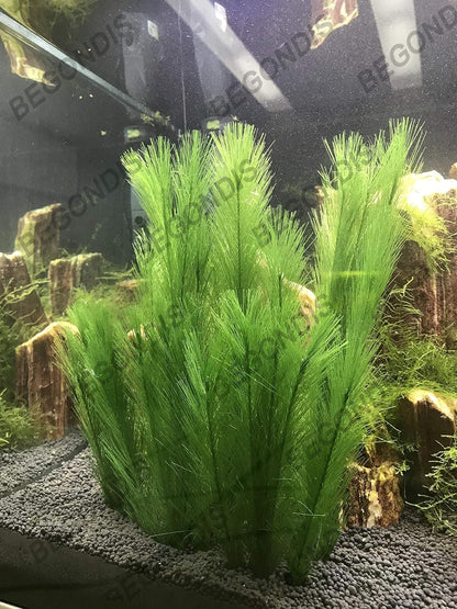 BEGONDIS Aquarium Decorations 3Pcs Fish Tank Artificial Green Water Plants Made of Silk Fabrics