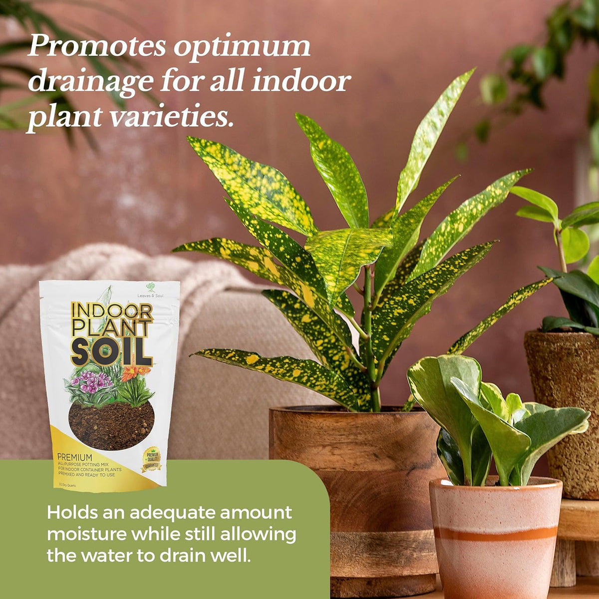 Indoor Plant Soil Premium All Purpose Blend | Large 2.2 Quarts | Ready to Use for Indoor Container