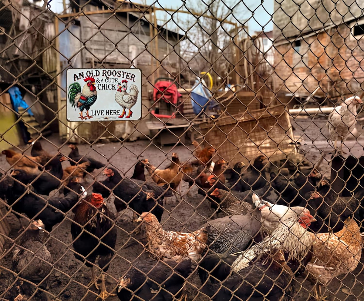 Funny Gifts for Women Chicken Lovers Farm Enthusiasts An Old Rooster And A Cute Chick Live Here