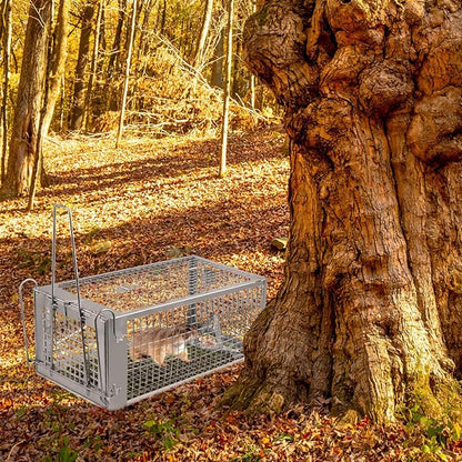 Moclever Humane Rat Trap – Live Catch & Release Mouse Trap for Indoor & Outdoor Use | No-Kill Metal