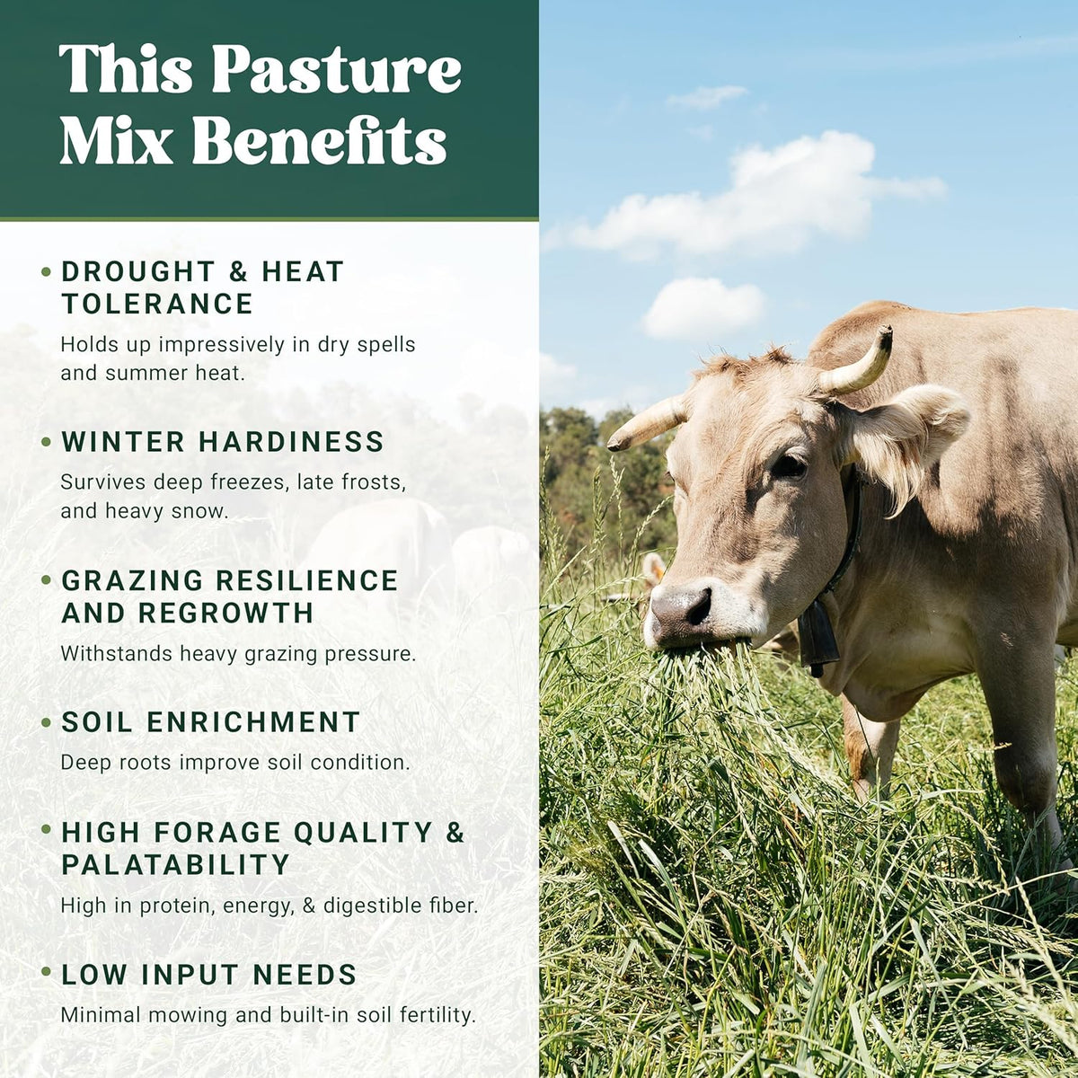 Nature's Seed Northern/Transitional Dairy Cow and Cattle Forage Mix, Pasture Grass Seed Blend