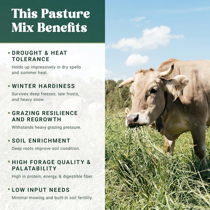 Nature's Seed Northern/Transitional Dairy Cow and Cattle Forage Mix, Pasture Grass Seed Blend