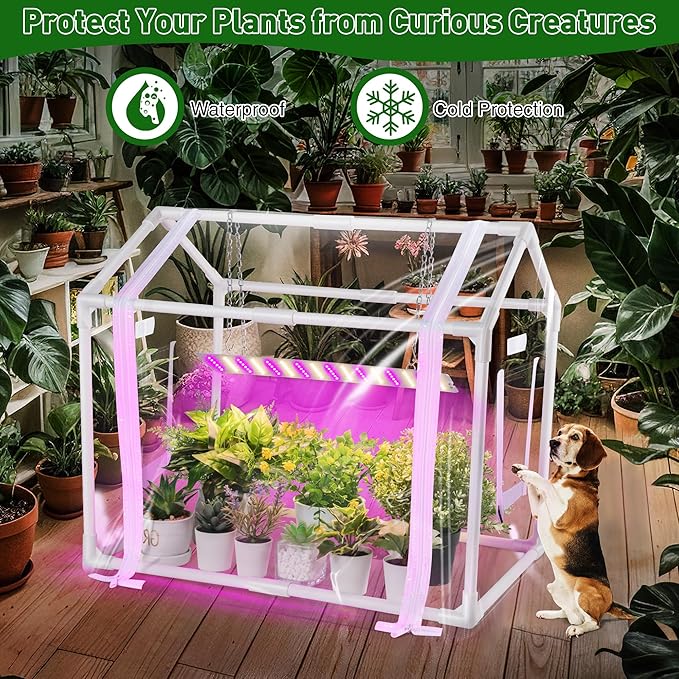 Meonum Mini Greenhouse with Grow Light for Indoor, 23.6 x15.7 x19.6 Tabletop Small Greenhouse Kit