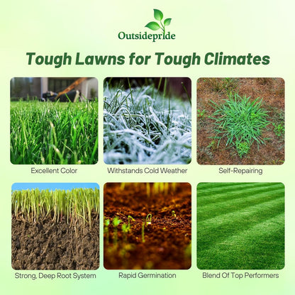 Outsidepride Combat Extreme Northern Zone - 10 Lbs Cold-Hardy, Drought-Resistant Turf Type Tall