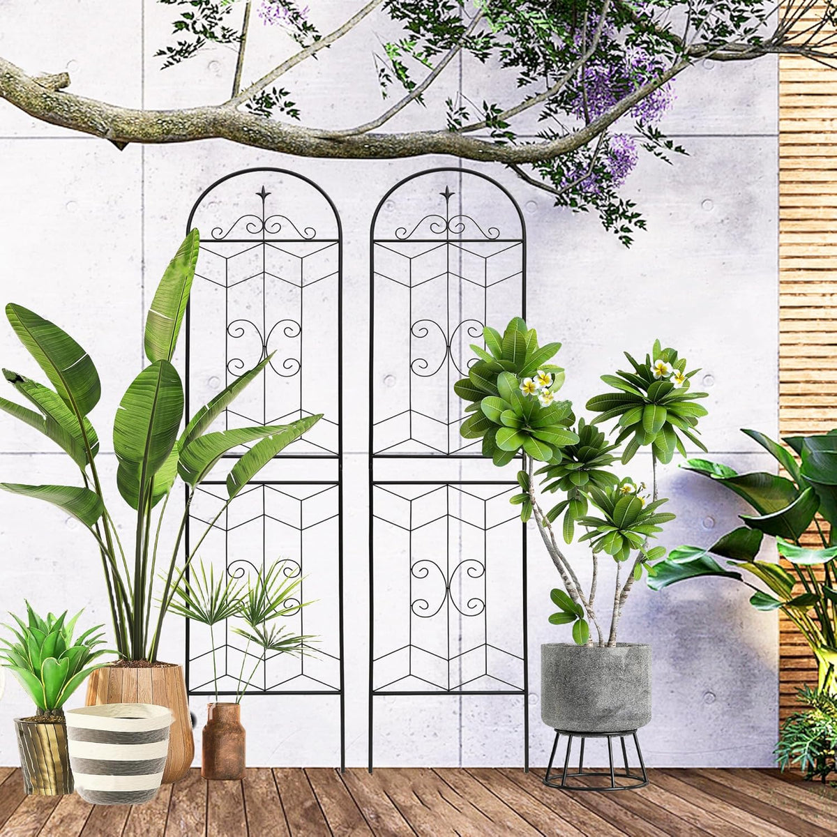 2 Pack 87x20in Garden Trellises with Black Metal Coating, Trellis for Climbing Plants Outdoor